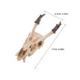 thumbnail image 2 of unbranded Con Calavera De Resina Para Terrarios Reptiles Y Peceras Color Marfil, 2 of 8