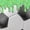 Soccer Green, variant on Homewish Sport Soccer Zipper Twin Comforter Sets with Fitted Sheet and 2 Pillowcases,Teens Green Ice Cream Drip Zipper Bedding Set,4-Piece,Black Reversible