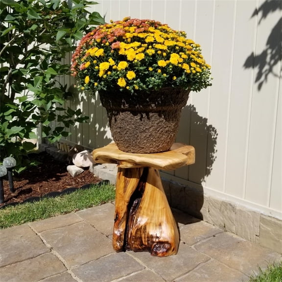 Wubio Rustic Cedar Root Plant Stand & Mushroom Stool Natural Shaped Side Table 13.5"H