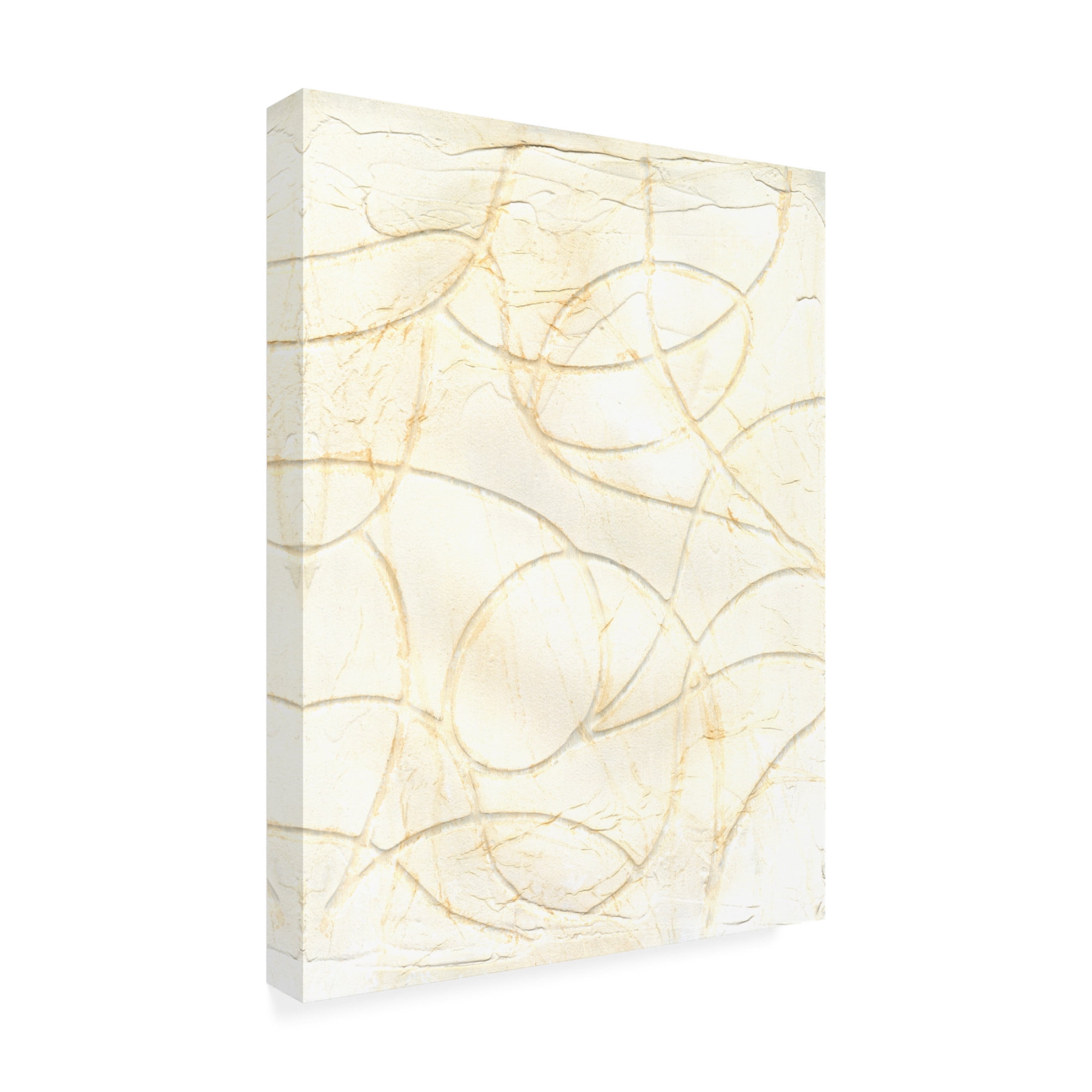Trademark Fine Art Michael Willett  Curved Conduits II Canvas Wall Art