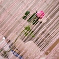 thumbnail image 4 of Decorative Door String Curtain Flat Silver Ribbon Thread Fringe Fly Screen Window Panel Room Divider for Living Room,Bedroom,Party Events, 4 of 6