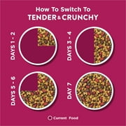 Purina Dog Chow Tender and Crunchy with Real Lamb and Turkey Flavor Adult Dry Dog Food, 30 lb Bag