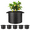 5 Pack, variant on YSSOA 5-Pack 10 Gallon Grow Bags, Aeration Nonwoven Fabric Plant Pots with Handles, Gardening Planter for Potato, Tomato, Vegetable and Fruits, Black