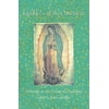 Pre-Owned Hocus Pocus: Writings on the Virgin of Guadalupe Paperback