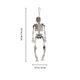thumbnail image 2 of 1 adorno de esqueleto de Halloween para decoraciones de Halloween., 2 of 3