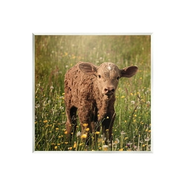 Stupell Industries Baby Calf Cow Among Flower Blossom Meadow Photograph Unframed Art Print Wall Art, Design by Daphne Polselli