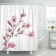 thumbnail image 1 of ABPHQTO Rama Flor de magnolia rosa aislada sobre fondo blanco Brote de primavera Cortina de ducha 160x180 cm, 1 of 1