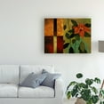 thumbnail image 3 of Trademark Fine Art 'Red Flower Over Dark Panels 1' Canvas Art by Pablo Esteban, 3 of 3
