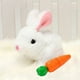 thumbnail image 2 of Pascua Eléctrico Walk Talk Hopping Bunny Juguete Con Zanahoria para Regalo () Blanco, 2 of 7