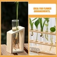 thumbnail image 2 of Miangastore 4Pcs Glass Test Tube Propagation Planter Clear Propagation Tube Plant Terrarium Multi-Use Glass Tube, 2 of 8