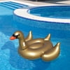 Image thumbnail_image