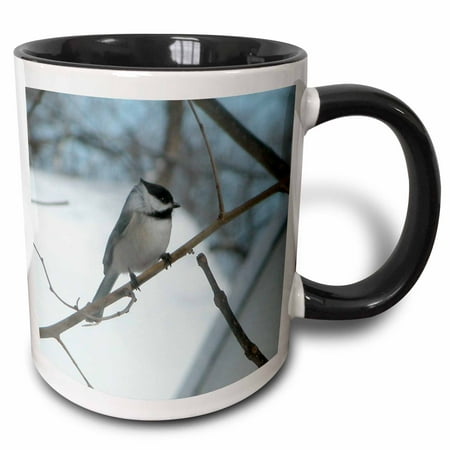 

3dRose Chicadee in a Tree Two Tone Black Mug 11oz
