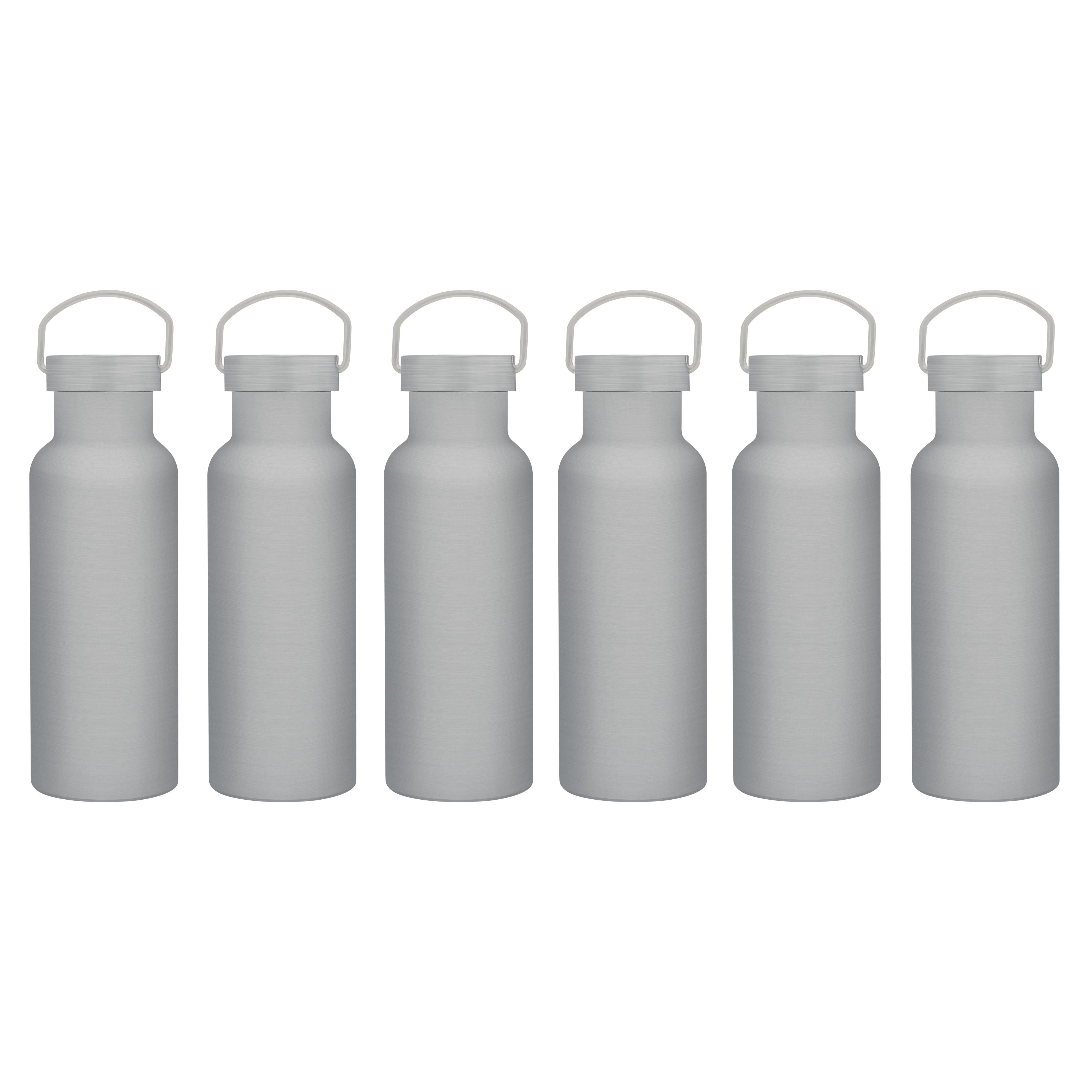 6 Stainless Steel Canteen Water Bottles Set, 17 oz. Double Wall, Wire