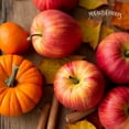 thumbnail image 4 of McCall’s Candles | Apples & Pumpkins | Reed Diffuser Gift Set | USA-Poured Fragrance Oil | Vintage Reed Garden with Amber Glass Bottle | Crisp apples blended with pumpkin and warm spice., 4 of 4