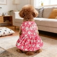 thumbnail image 2 of Easter Bunny Costume Cute Funny Outfit Lightweight Polyester for Dogs Cats Summer Holiday Party Photo Shooting, 2 of 5