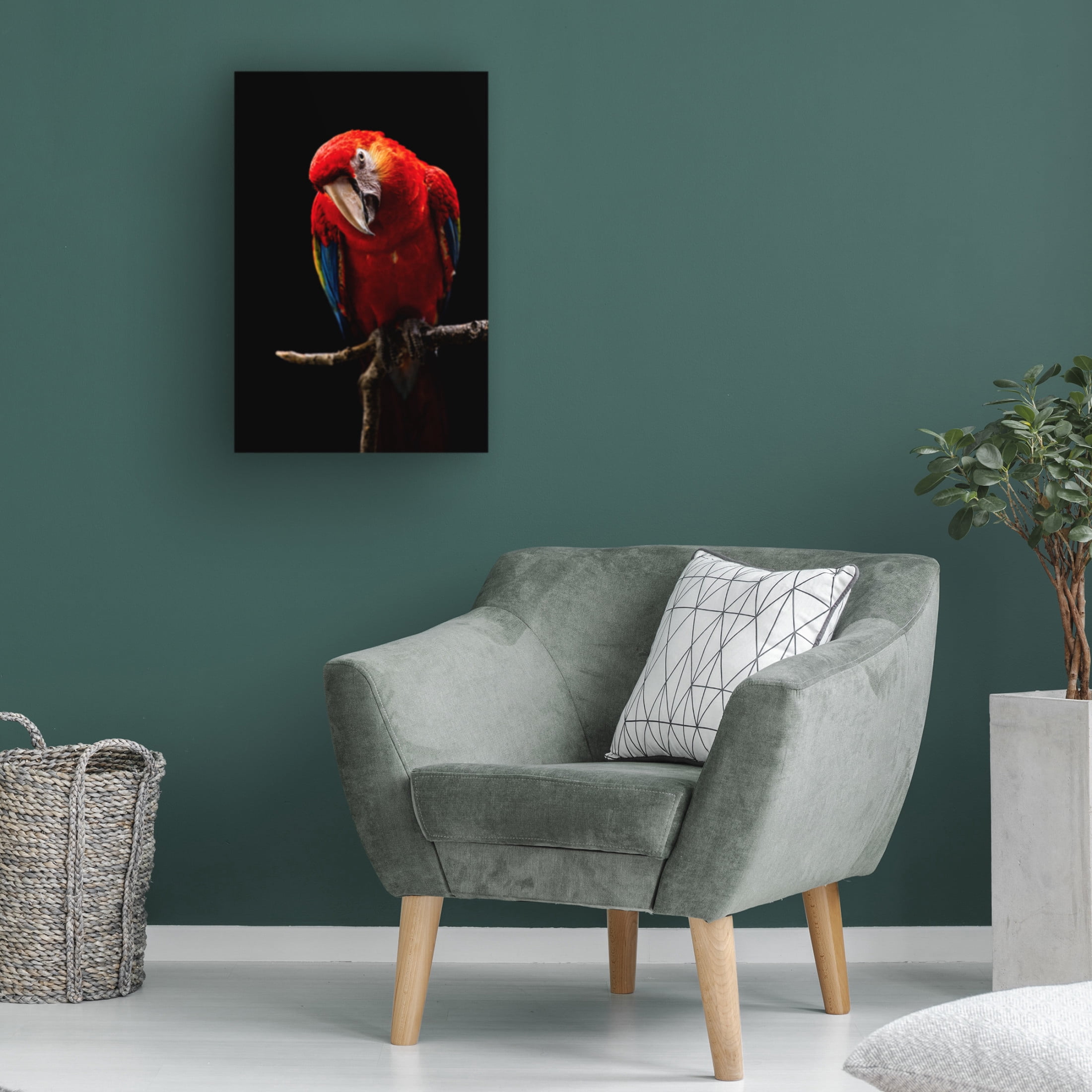 Trademark Fine Art Andi Halil Portrait Of Scarlet Macaw Canvas Wall Art
