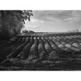 thumbnail image 3 of Henson, Martin 24x19 Black Modern Framed Museum Art Print Titled - Furrows, 3 of 5