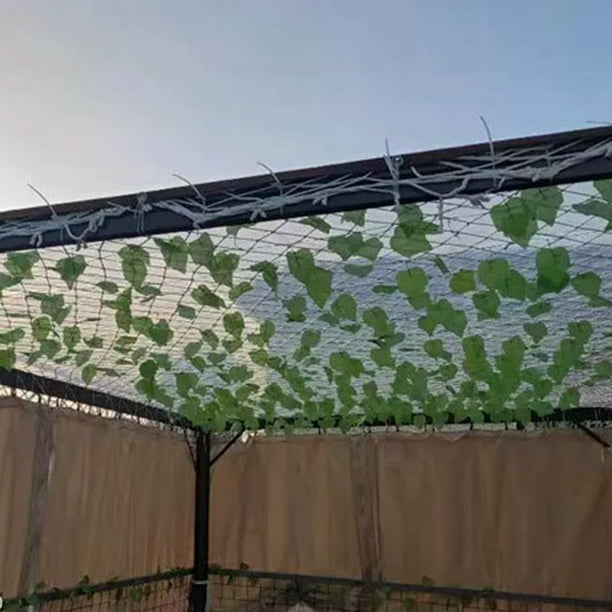 Malla de sombra con ojales | Malla de polietileno transparente para pérgola, invernadero, plantas y patio | 90 % de protección UV, bordes reforzados duraderos, transpirable para jardín al aire libre