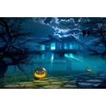 thumbnail image 2 of Fondos fotográficos de Halloween ABPHQTO 150x220cm Casa Horrible cara de calabaza, 2 of 2