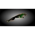 thumbnail image 1 of Jaguar On Black Fade Photo License Plate  Free Personalization on this Plate, 1 of 1