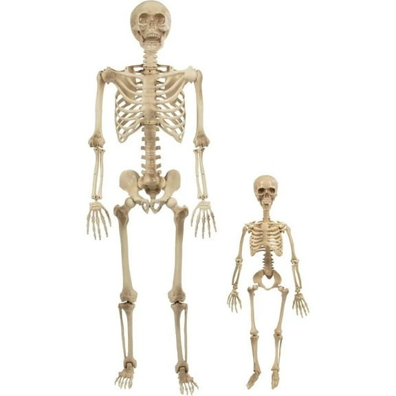 Posable Human Adult (5' 4") & Child (3') Skeleton Value 2 Pack - Life Size, Articulated Limbs & Bones Stay in Place, Weather Resistant Indoor/Outdoor Decoration