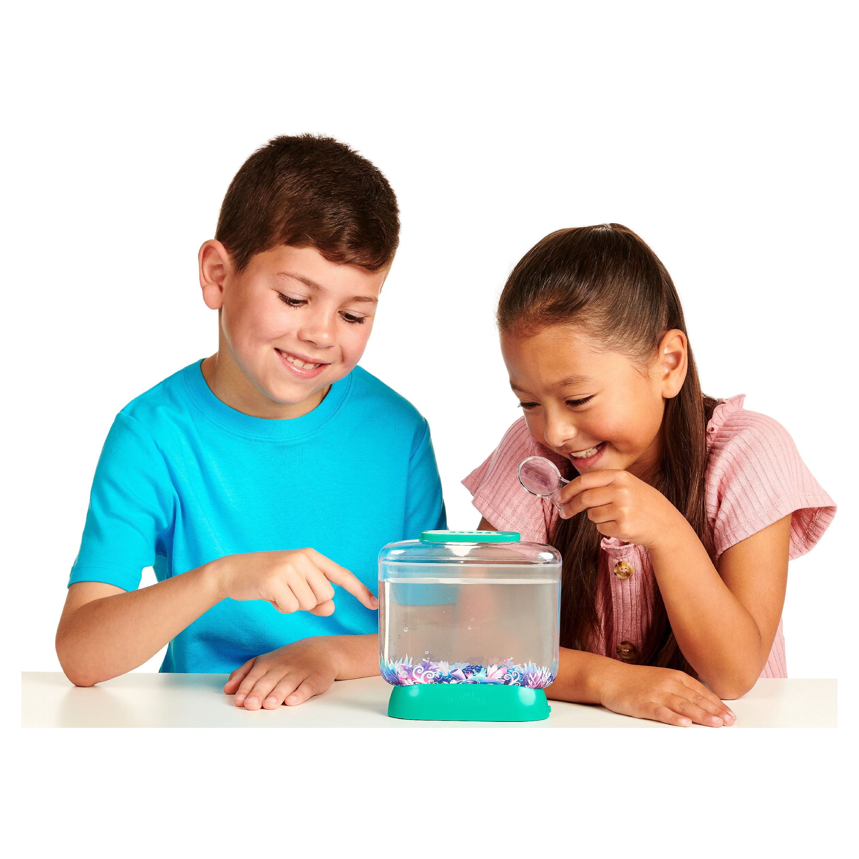Little Live Aqua Dragons LED Light up Tank Hatch and Grow Aquatic Pets