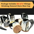 thumbnail image 5 of HIGHBIX Royal Vikings Drinking Horn Shot Cup Set of 6 Wooden Base Genuine Handcrafted 5oz Vikings Cup (Deep Black), 5 of 6