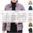 thumbnail image 3 of hoksml Women's Winter Plus Size Down Coat Stand Collar Solid Color Long Sleeve Lightweight Thin Slim Light Pocket Zipper Down Jacket Top 2XL-5XL, 3 of 3