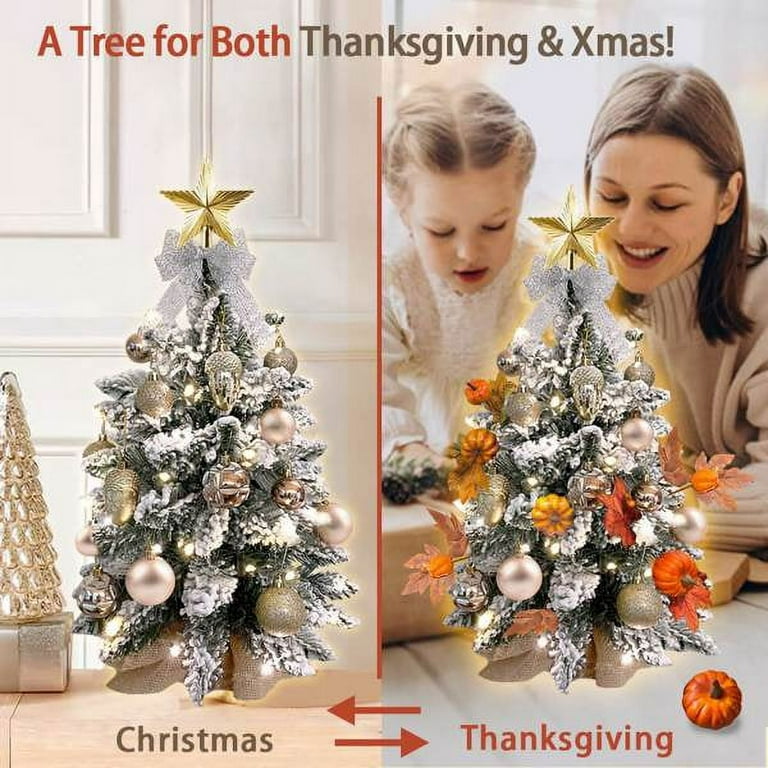 2ft Mini Christmas Tree with Light Artificial Small Tabletop Thanksgiving  Decoration with Flocked Snow, Christmas Decor & Xmas Ornaments for Table  Top for Home & Office 