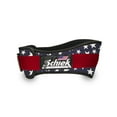 thumbnail image 1 of Schiek 2004 4.75" Nylon Weightlifting Belt, Stars & Stripes - XS, 1 of 1