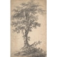 thumbnail image 3 of Jean-Baptiste Pillement 17x24 Black Modern Framed Museum Art Print Titled - Study of a Tree, 3 of 5