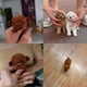 thumbnail image 5 of 2025 New Robot Dog for Adults, AI Robotic Dog, Nicoo - My Realistic Robot Puppy That Acts Like a Real Puppy - Walking, Barking, Tail Wagging Cs, 5 of 5