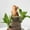 Beige, variant on Up to 60% off Gifts Kcavykas Wooden Carved Small Mouse Statue, Garden Potted Plant Decoration, Desktop Ornament Today’s Must-Have Bargains