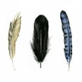 thumbnail image 2 of Popp, Grace 12x12 Black Ornate Wood Framed with Double Matting Museum Art Print Titled - Soft Feathers I, 2 of 4
