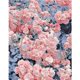 thumbnail image 1 of Cuadros Decorativos 5D bricolaje ronda completa taladro diamante pintura Daisy decoración del hogar arte artesanal (V3187) Wdftyju de costura negro 4 estilos, 1 of 5