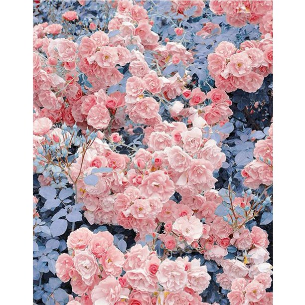 Cuadros Decorativos 5D bricolaje ronda completa taladro diamante pintura Daisy decoración del hogar arte artesanal (V3187) Wdftyju de costura negro 4 estilos