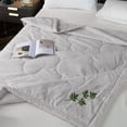 thumbnail image 7 of AZXY Chinese Mugwort Summer Quilt, Queen Size Lightweight Air Conditioner Quilt, Breathable Insect Repellent Bedspread for Bedroom Travel Use, 7 of 7