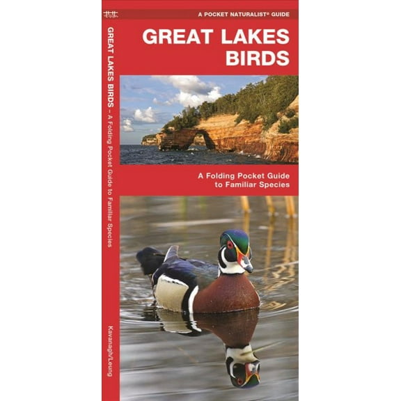 Pocket Naturalist Guides: Great Lakes Birds: An Introduction to Familiar Species (Other)