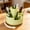Light Green, variant on 360° Rotatable Multi-Functional Plastic Pen Holder, Step Grid Desktop Stationery Storage Caddy, Divided Makeup Brush Organizer Tray For Office Desk Daily Decor Gift