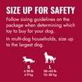 thumbnail image 3 of KONG® Classic Flyer Soft Catch Dog Toy, Red, Small, 3 of 9