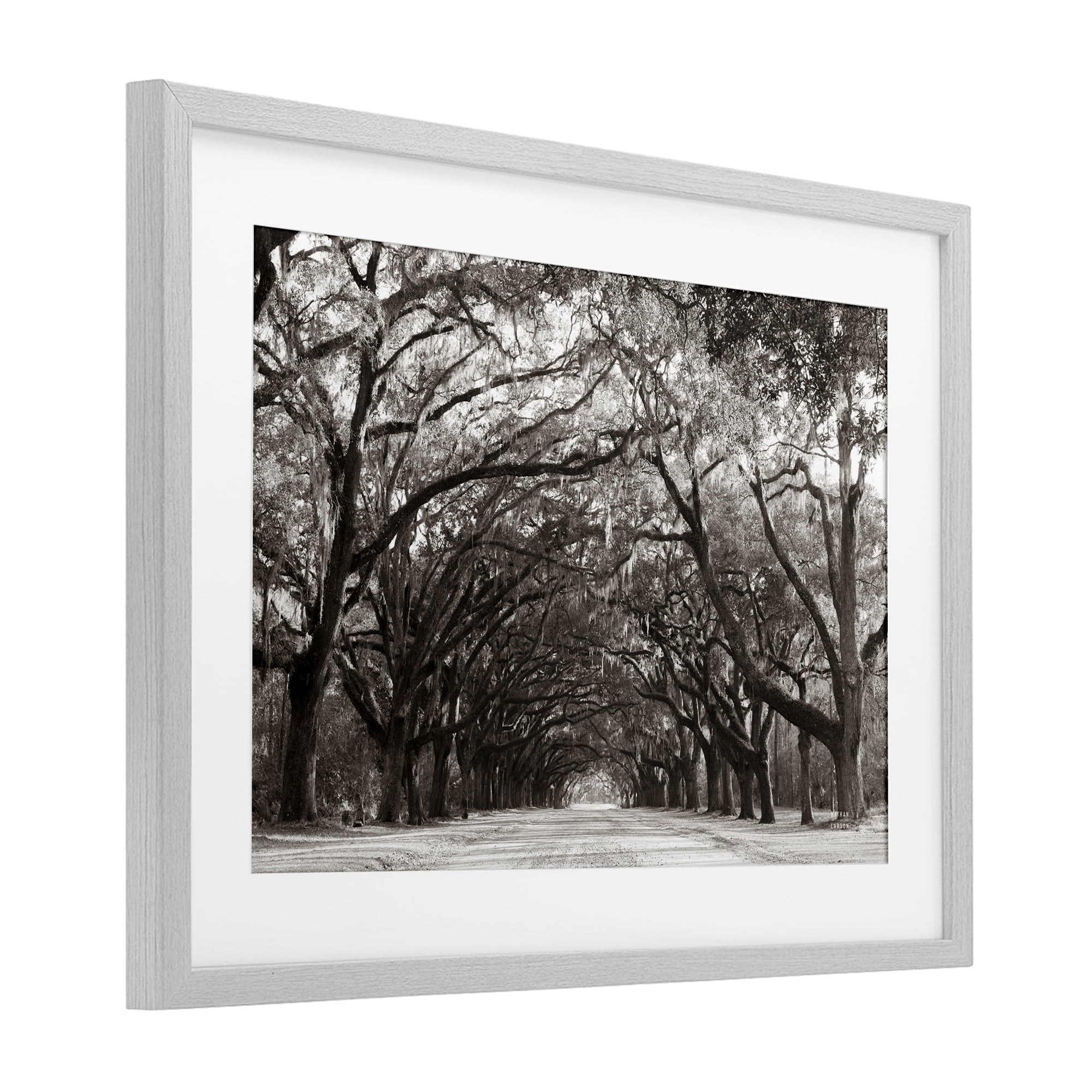 Stupell Industries Georgia Stroll Tree Tunnel Gray Framed Print Under Glass, design by Nathan Larson