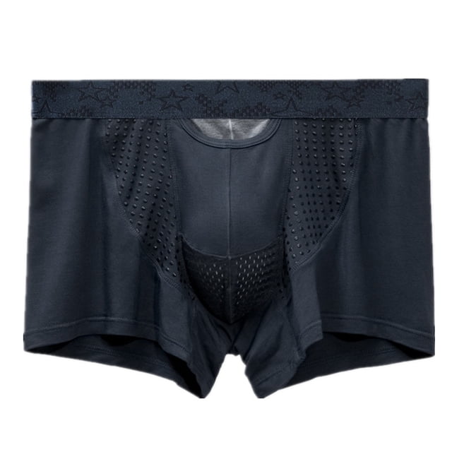Mens Underwear Modal Boxers Shorts Homme Breathable Panties Magnetic Mesh Bullet Separation Pouch Underpants Cueca Calzoncillo XXL blue|https://ae01.alicdn.com/kf/Sc2287910e38e41709d3593e3d692bfe5J.pn