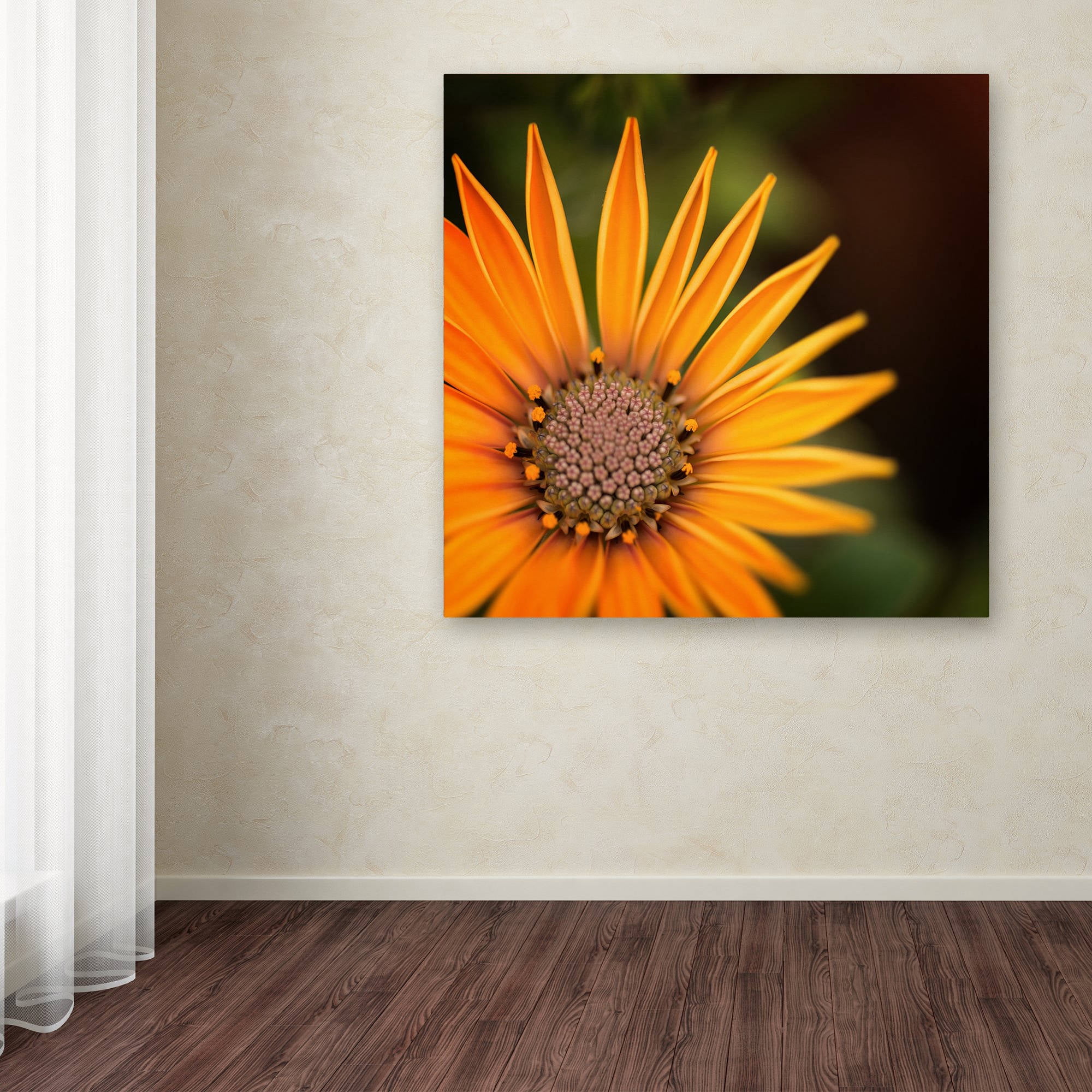 Trademark Fine Art "Everyday" Canvas Art by Philippe Sainte-Laudy