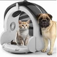 thumbnail image 3 of TOPCHANCES Automatic Pet Drying Box, Folding Cat Hair Dryer Box, Pet Blower Grooming Dryer with 8 Fans & 4-speed Settings, 3 of 13