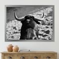 thumbnail image 3 of Designart 'Black and White Portrait Of A Spanish Bull II' Farmhouse Framed Art Print, 3 of 4