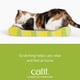 thumbnail image 3 of Rascador Catit Style con hierba gatera - Jungle-Stripe Lounge, 3 of 3