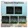 thumbnail image 7 of Tank Clip Lamp Decorate Led Full Spectrum Control Lamp Algae Lamp Ornamental Small Tank Lighting ,Light is Soft, 7 of 7