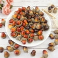 thumbnail image 3 of Vnanda 50Pcs Artificial Fake Nutty Craft Acorns with Natural Cap Simulation Fruit Props for Vase Filler Home House Autumn Favor Thanksgiving Day Christmas Wedding Decor, 3 of 7