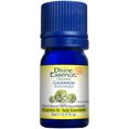 thumbnail image 2 of Divine Essence - Organic Galbanum Essential Oil, 5ml, 2 of 4