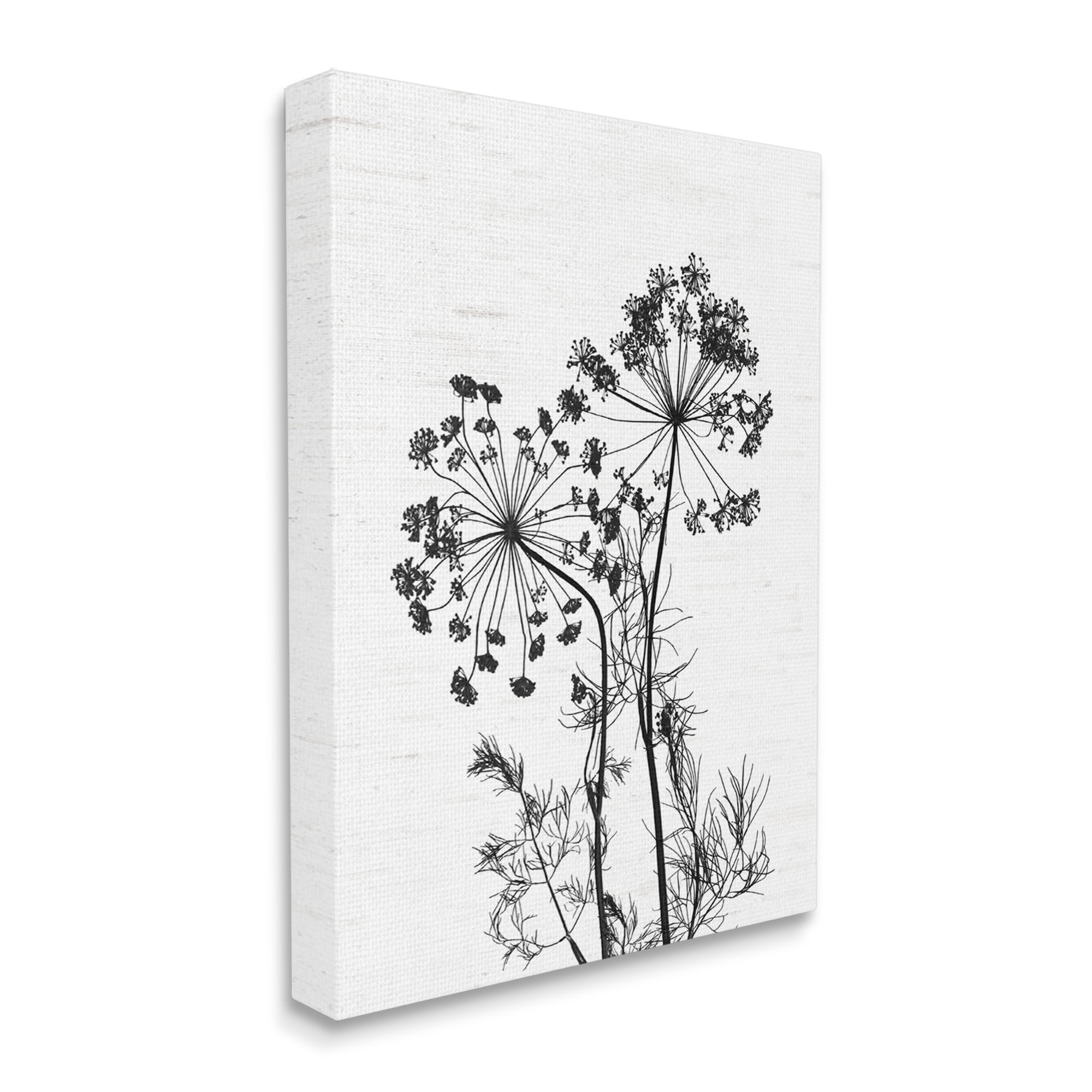 Stupell Industries Varied Botanical Herbs Casual Wildflower Birch Pattern Graphic Art Gallery Wrapped Canvas Print Wall Art, Design by Lettered and Lined